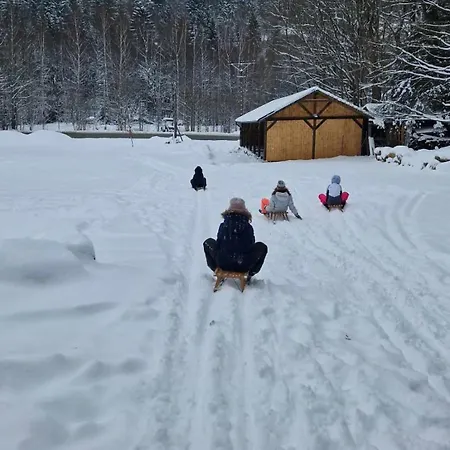 Jelen - Sauna I Jacuzzi Rum i privatbostad Szklarska Poręba